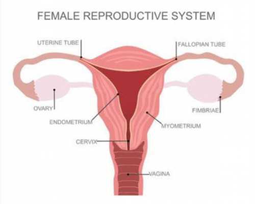 济南正规试管机构哪家比较好,医院的详细资料