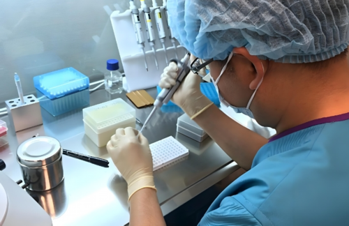 机构做供卵-女性备孕吃什么养卵泡？女性备孕吃什么养卵泡和内膜的药？