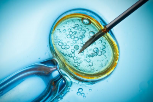 2026私人找人代孕_正规的供卵代孕哪家好,21号囊胚移植后第二天肚子发烫有灼热