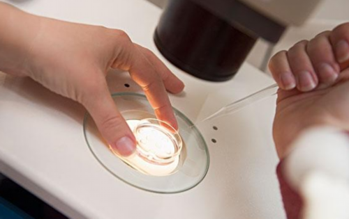 自然周期子宫内膜厚度10mm适合移植胚胎吗？