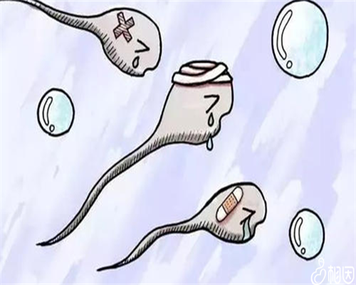 潍坊生殖科最好的医院排名公布-潍坊最好的生殖医学！