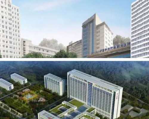 国内供卵自怀价格-代孕费用低受欢迎,试管婴儿停胎机率有多大(试管婴儿停胎机