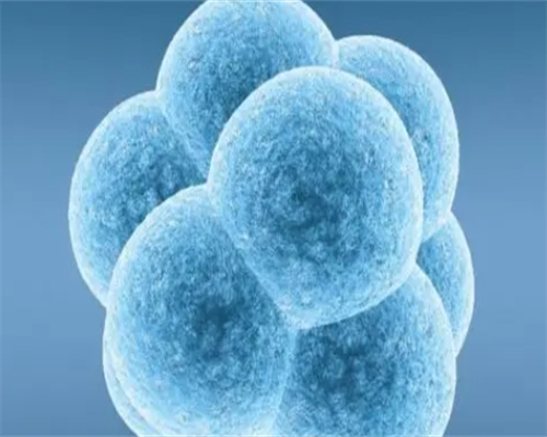 潍坊排名第一的试管医院成功率怎么样，潍坊医院试管排名