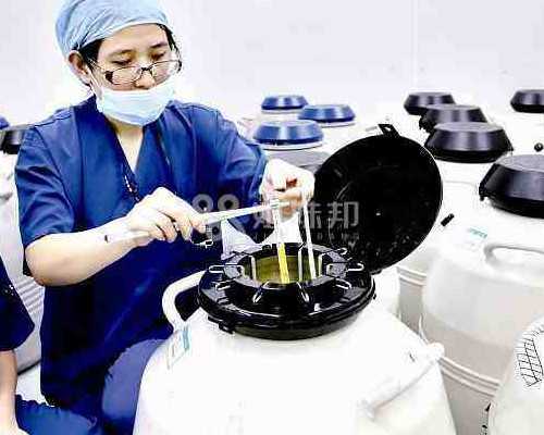 济南供卵自怀一次包成功（济南供卵试管）