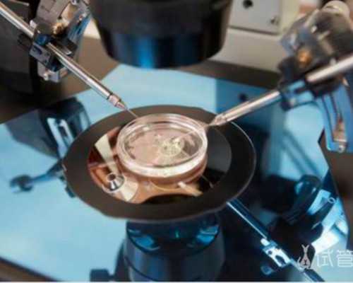 济南，我的供卵试管，济南私立医院供卵试管婴儿价格是多少？6万够吗？