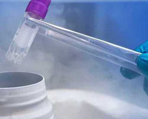 济南供卵供代怀_不孕不育包成功,供卵山东潍坊，尚赐生殖试管婴儿