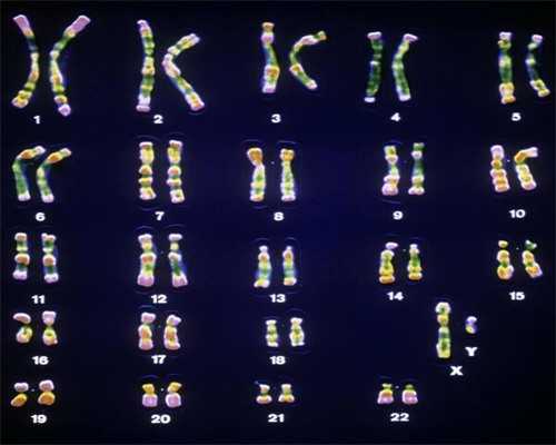 国内比较好的代孕产品_包生男孩费用低,试管移植尿憋太多有没有影响(移植尿憋