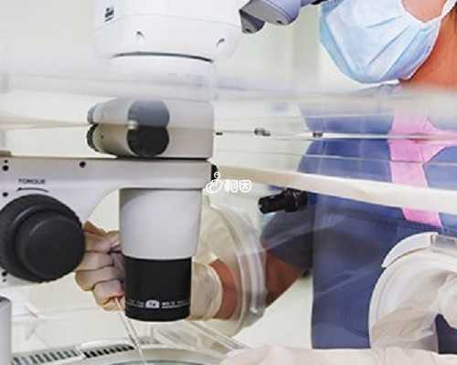 济南允许代怀吗_55万包生男孩,潍坊能供卵医院地址,潍坊供卵医院地址