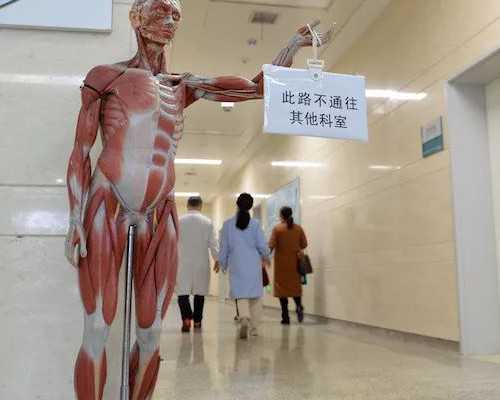 济南供卵在哪,济南专业试管助孕机构怎么样-济南试管助孕aa69在哪里