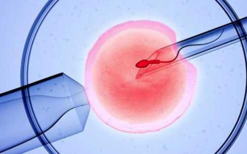 济南供卵试管生男孩包成功费用多少，2026年已更新|山东供卵试管多少钱