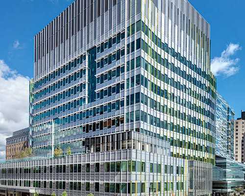 专业代生双胞胎+试管代孕成功率高吗,生育攻略：试管内膜16mm能够移植吗？，而