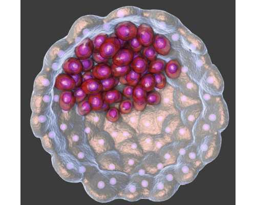 2026济南三代试管男孩价格需要准备多少钱？