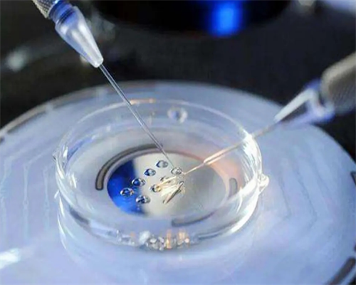 山东济南精子库环境,山东省精子库官网