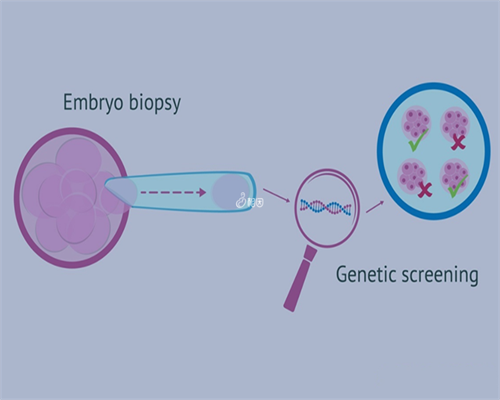 济南供卵试管婴儿成功率高吗多少钱一次