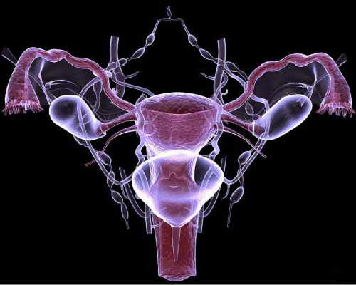 代生包成功_康健包成功条件,试管取卵后*疼更容易怀孕（取卵后*疼正常吗）
