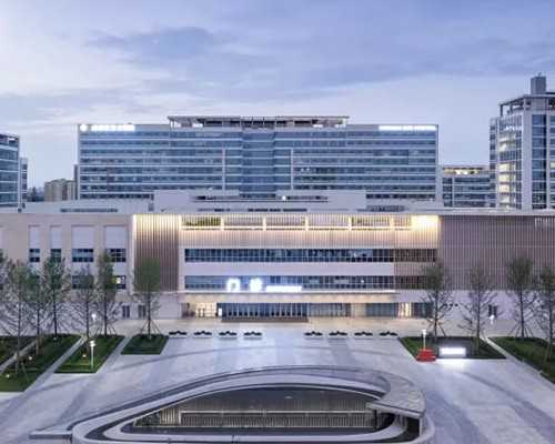 代生包儿子费用_代生包成功,移植冻囊9天晚上才测到灰印，12天官方怀孕。