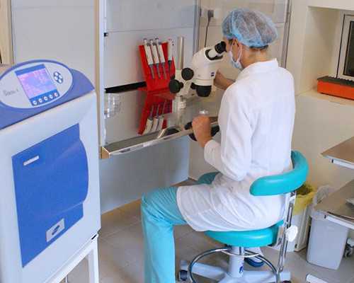 那里做代孕最便宜,低敏奶粉排行榜前7名品牌介绍，哪些牌子好看了就知道